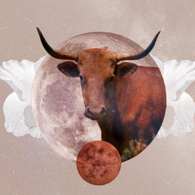 Kép forrása: Pinterest